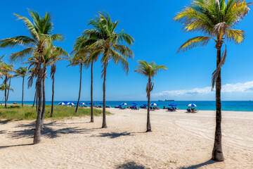 Tropical sunny beach with palm trees, beach umbrellas and tropical sea in Fort Lauderdale, Florida	
