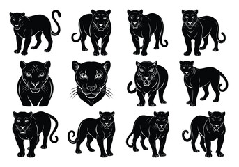 Obraz premium Fifteen panther silhouettes in various poses, big cat vector icons for wildlife branding, tattoo designs, sports mascots, predator illustrations, educational materials, and graphic design projects