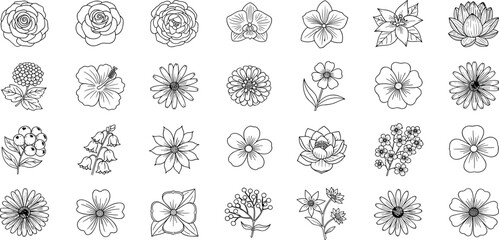 Cosmetic flowers line icon set. Vector pictograms of jasmine, calendula, ylang, geranium, peony, neroli, helichrysum, freesia, magnolia thin linear illustration.