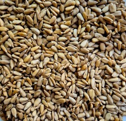 Sunflower seeds displayed in a close-up view on a neutral background showcasing their texture and colors