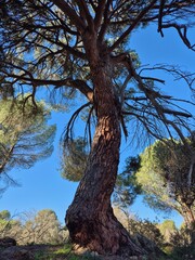 Parque Natural de Sierra Morena, Andujar