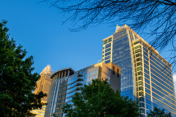 Skyscrapers, office buildings and hotels in the city skyline at Romare Bearden Park in uptown Charlotte North Carolina USA