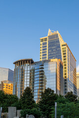 Skyscrapers, office buildings and hotels in the city skyline at Romare Bearden Park in uptown Charlotte North Carolina USA