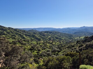 Parque Natural de Sierra Morena, Andújar - 2025