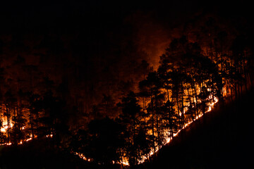 Night shot of a fierce forest fire engulfing trees on a hillside in Meghalaya. 