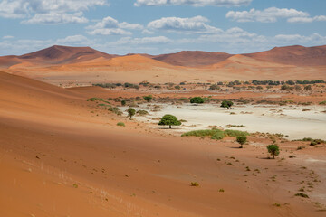 Dunes in the Namib Naukluft National Park, Namibia