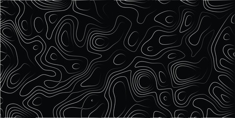 Abstract black and white topographic map design featuring flowing contour lines and textured background