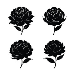 set of roses vector