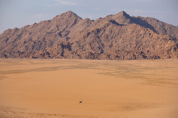 Oryx in the Namib Naukluft National Park, Namibia