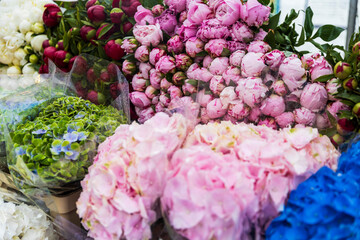 Beautiful pink peonies and hydrangeas.
