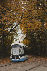 Obraz premium Modern electric tram on forest rails during autumn