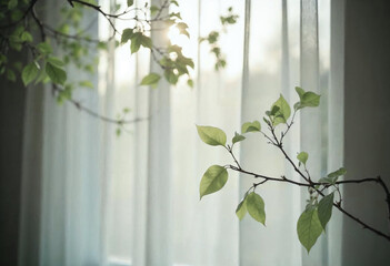 Soft focus view of leafy dogwood tree branches swaying outside a sheer white curtain