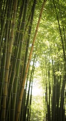 Fototapeta premium The enchanting bamboo forest, tall, green bamboo stalks create a mesmerizing vertical perspective, drawing the eye towards the sunlight-dappled canopy above. The rich textures, organic shapes.