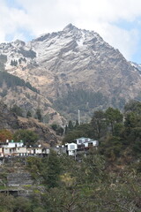 Snow-capped mountains with green trees under a bright sky near Nainital.