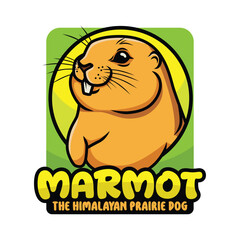 Smiling Marmot The Himalayan Prairy Dog Mascot Logo Vector Design.eps