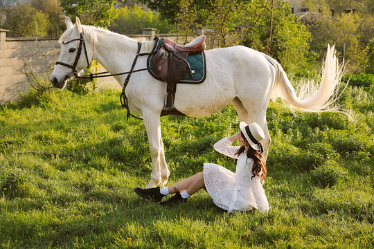 Beautiful young girl with dark hair on a white horse in a field at sunset in spring