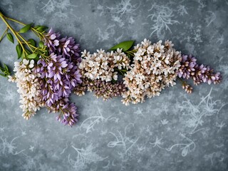 Wisteria Floral Flat Lay on Slate, Airy Hues, Soft Texture