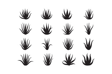 Aloe Vera Icons Collection Black Silhouette Succulent Plant Vector Set for Eco and Botanical Design
