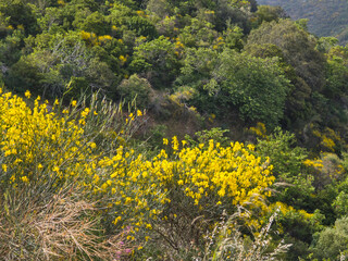 Spring view of Mountain of Lefkada Island, Greece