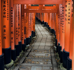 kyoto torii Fushimi sanctuary