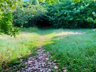 sendero