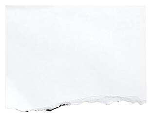 Blank ripped white paper
