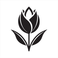 tulip flower silhouette vector