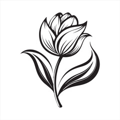 tulip flower silhouette vector