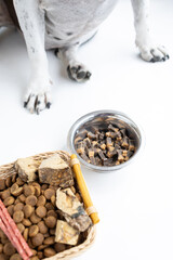 A black and white dog eats dry food from a bowl on a white background. amstaff black and white