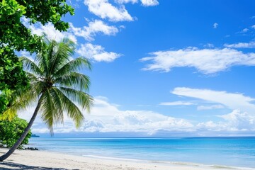 Obraz premium Idyllic tropical beach scene. Turquoise water, white sand, palm trees under a bright blue sky. Perfect for travel, vacation, and summer themes. Ideal for websites, brochures, and advertising.