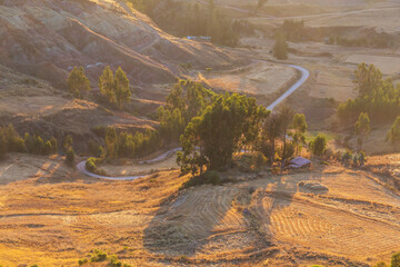 Fields in Peru