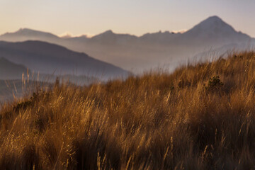 Mountains meadow