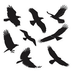 Collection of Black Silhouetted Eagles and a Seagull in Flight on White