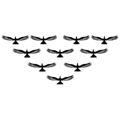 Ten Black Birds in Formation Against a White Background
