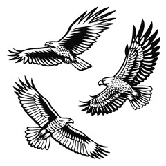 Three Eagles Soaring Black and White Vector Illustration on White Background