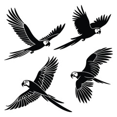 Four Black Silhouette Macaw Parrots in Flight on a White Background