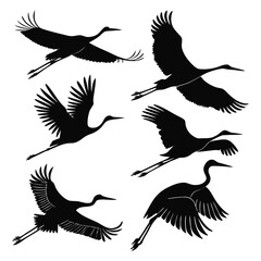Obraz premium Elegant Silhouette Illustration of Cranes in Flight on a White Background