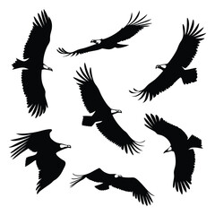 Silhouette of Vultures Soaring A Black and White Graphic Illustration