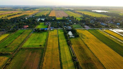 Rice field area photographed from a height using a drone.