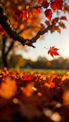 Autumn's Embrace A Falling Leaf's Golden Farewell