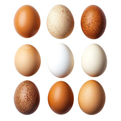 Variety of eggshells displayed isolated on transparent background.