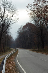 Road in the forest in the mountains in autumn