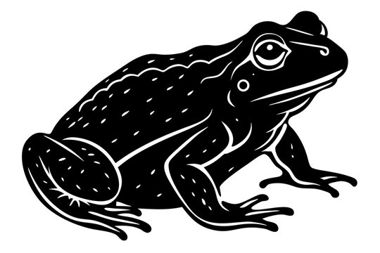 Still Sitting Toad Silhouette Vector