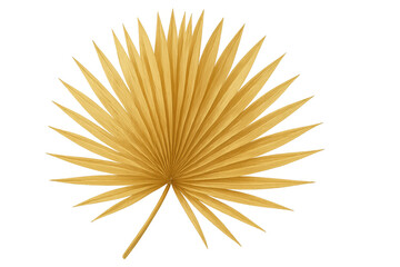 Fototapeta premium Golden palm leaf gleaming with tropical radiance, casting luxurious metallic sheen against crisp transparent backdrop