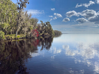 lake and trees reflecting in water,  White puffy clouds reflection lakeshore