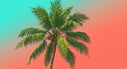 Palm tree with colorful background summer vibe