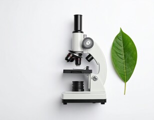 Microscope and leaf on a white background. Demonstrates research and exploration.