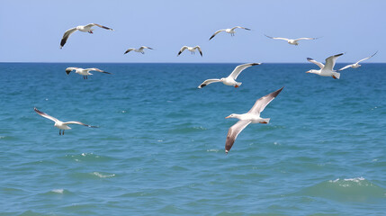 Obraz premium Birds flying over the water. Seabirds in wild life biodiversity of insular ecosystems. Sea birds and island communities, Biodiversity awareness conservation of insular species in Delta Vacaresti