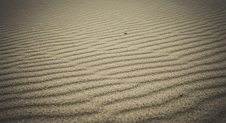 Obraz premium Close-up view of rippled sand dunes, texture and pattern, perfect for backgrounds