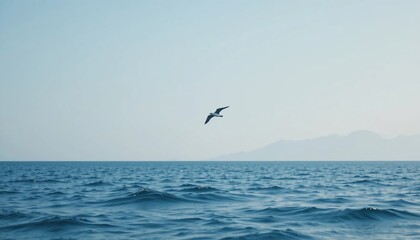 Fototapeta premium Serene Ocean Scene Bird in Flight Over Calm Water with Distant Mountains